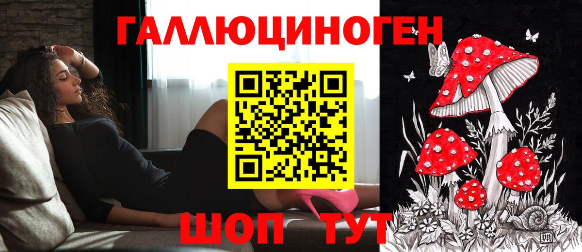 Псилоцибиновые грибы Psilocybe Златоуст